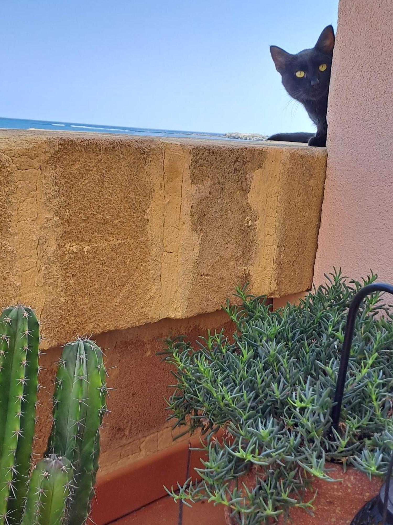 La Casa Sulla Spiaggia Marzamemi Exteriér fotografie